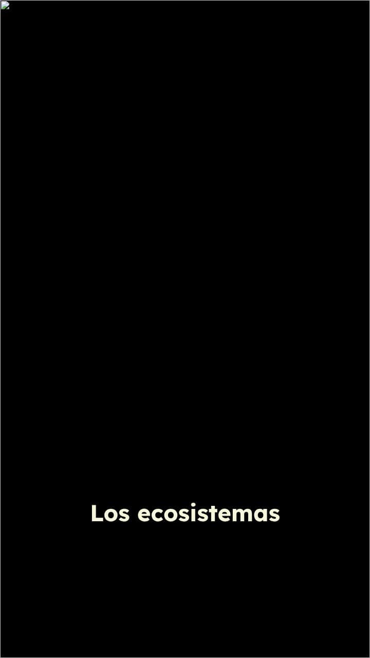 Ecosistemas digitales: el poder de la interconexión