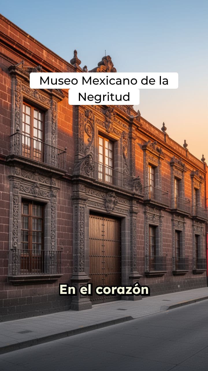 Museo Mexicano de la Negritud - Memoria Viva