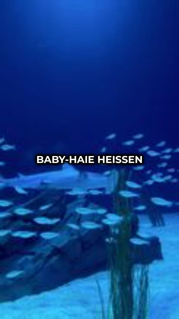 Tierische Babygewohnheiten