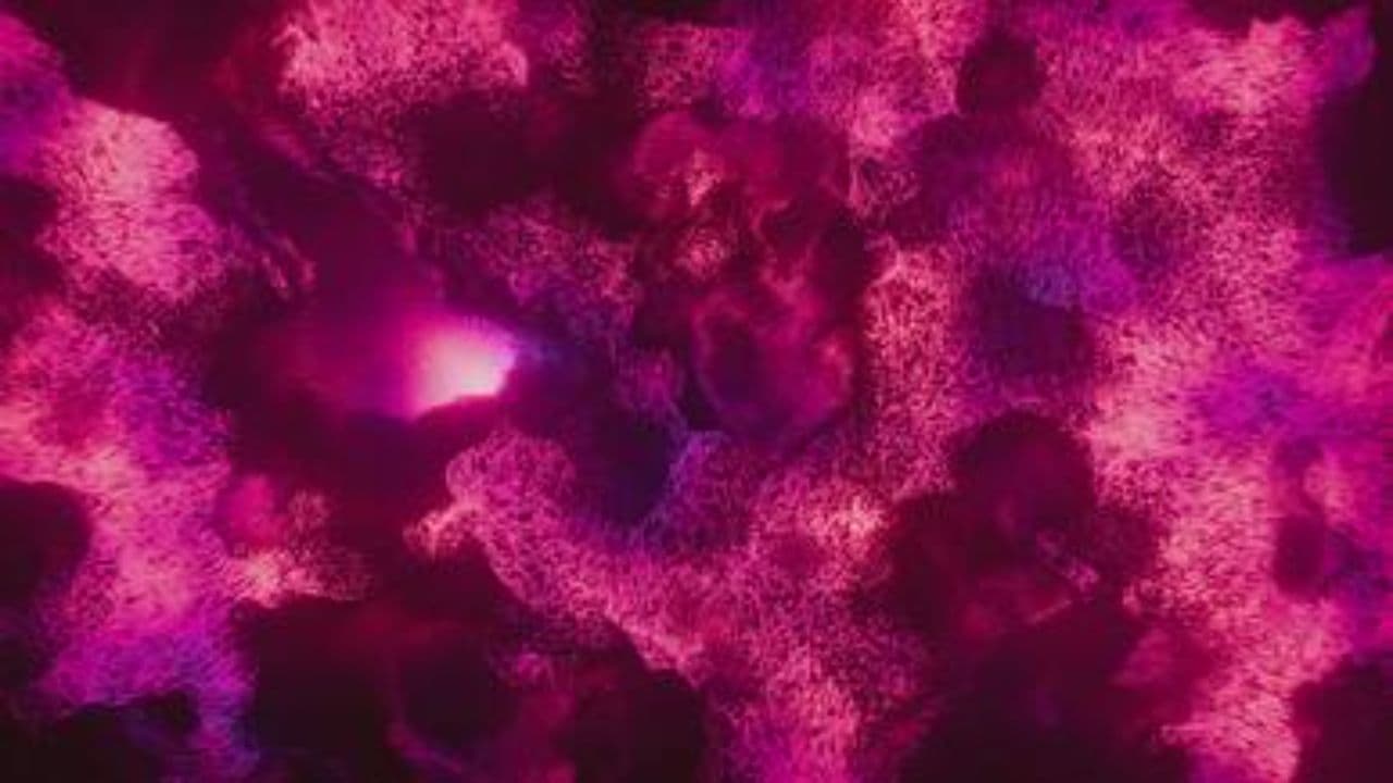 Éphémère comme un papillon