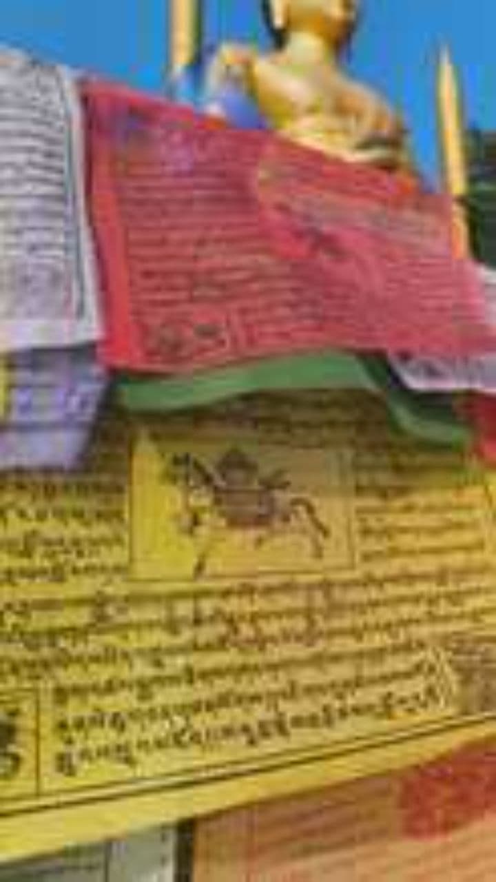 Ferdowsi's Silent Gaze