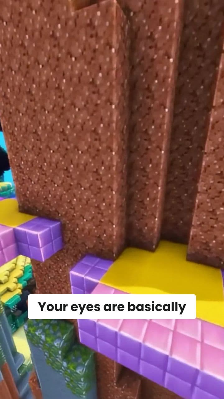 Why Human Vision Needs Fixing