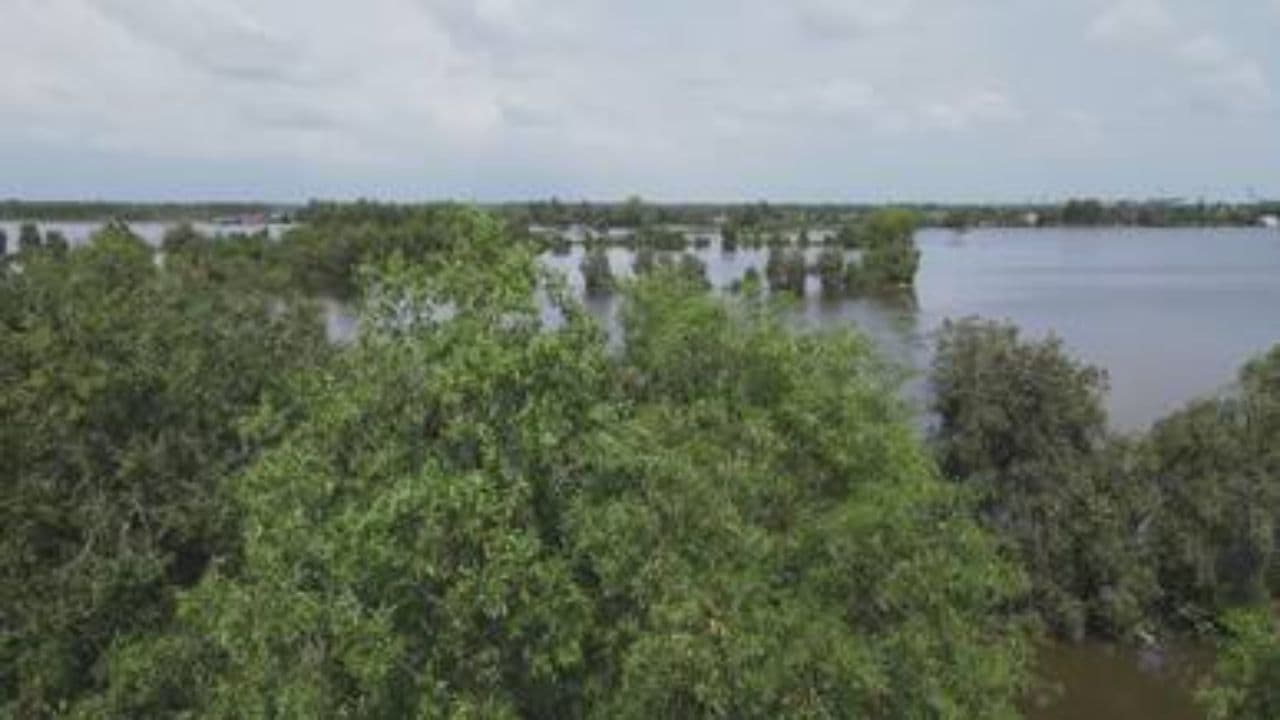 The Green Sahara: A Story of Change