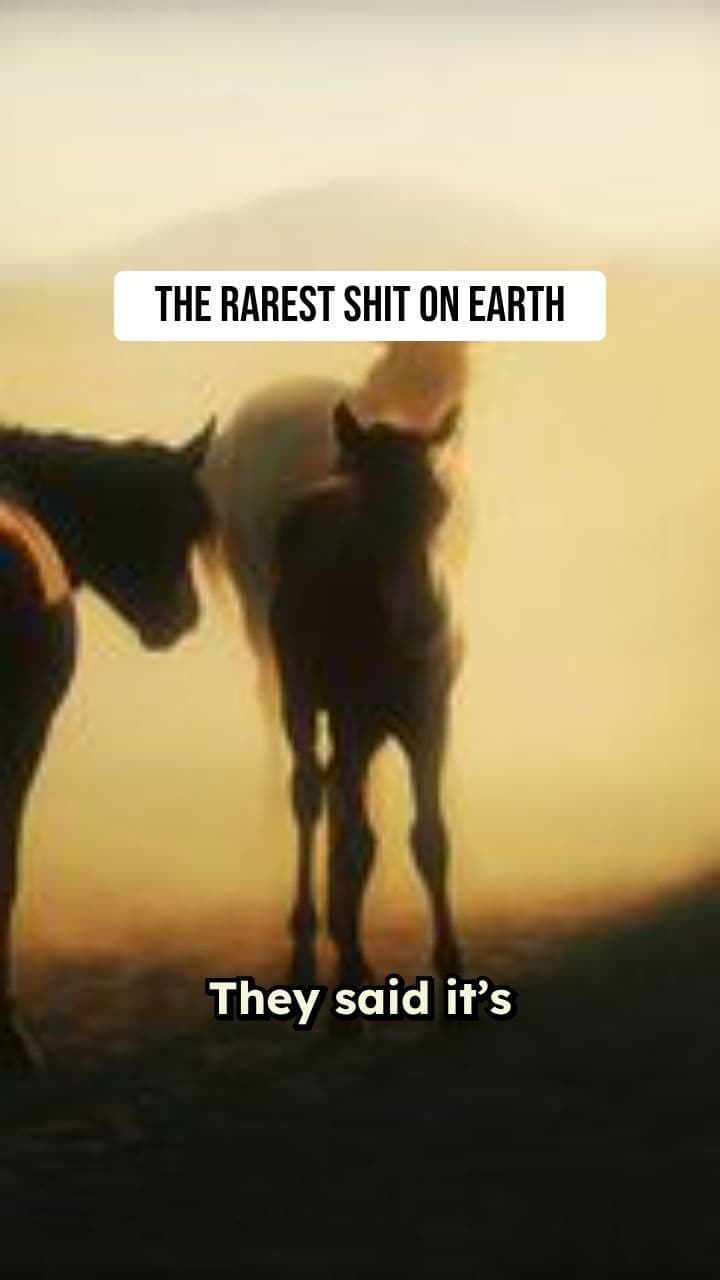 QORI Hyper-Luxury Streetwear Reel