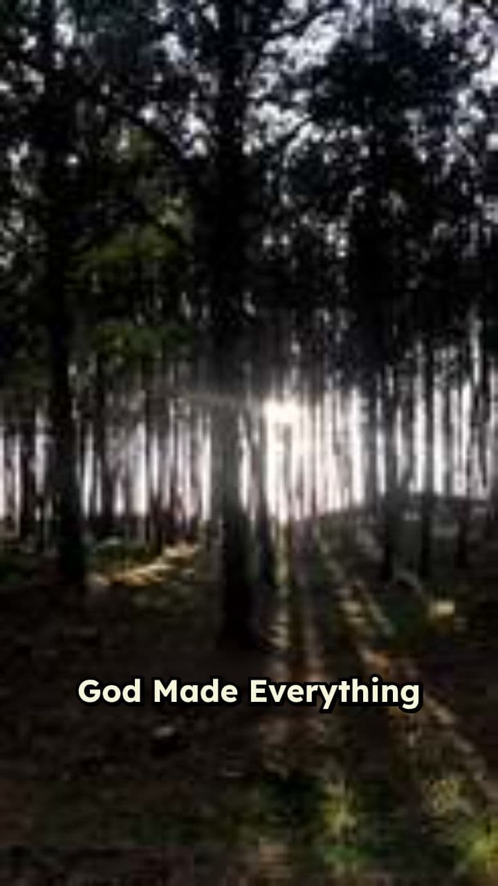 God Made Everything