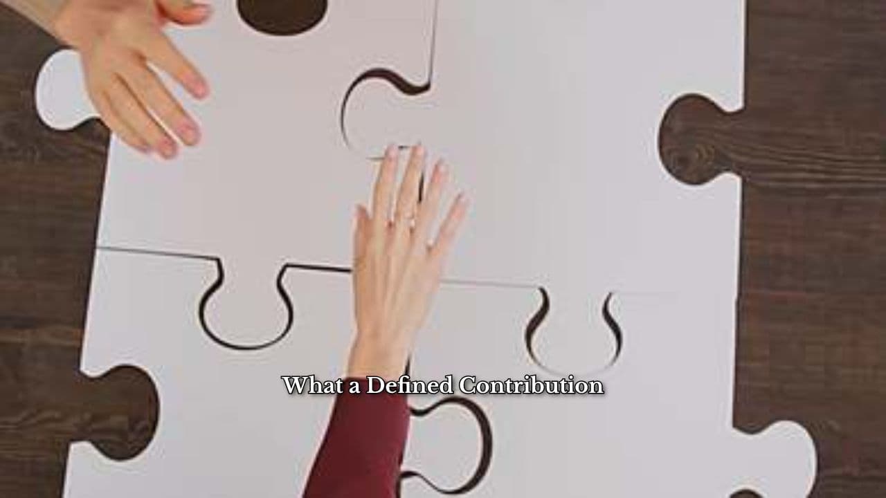 Understanding Defined Contribution Plans