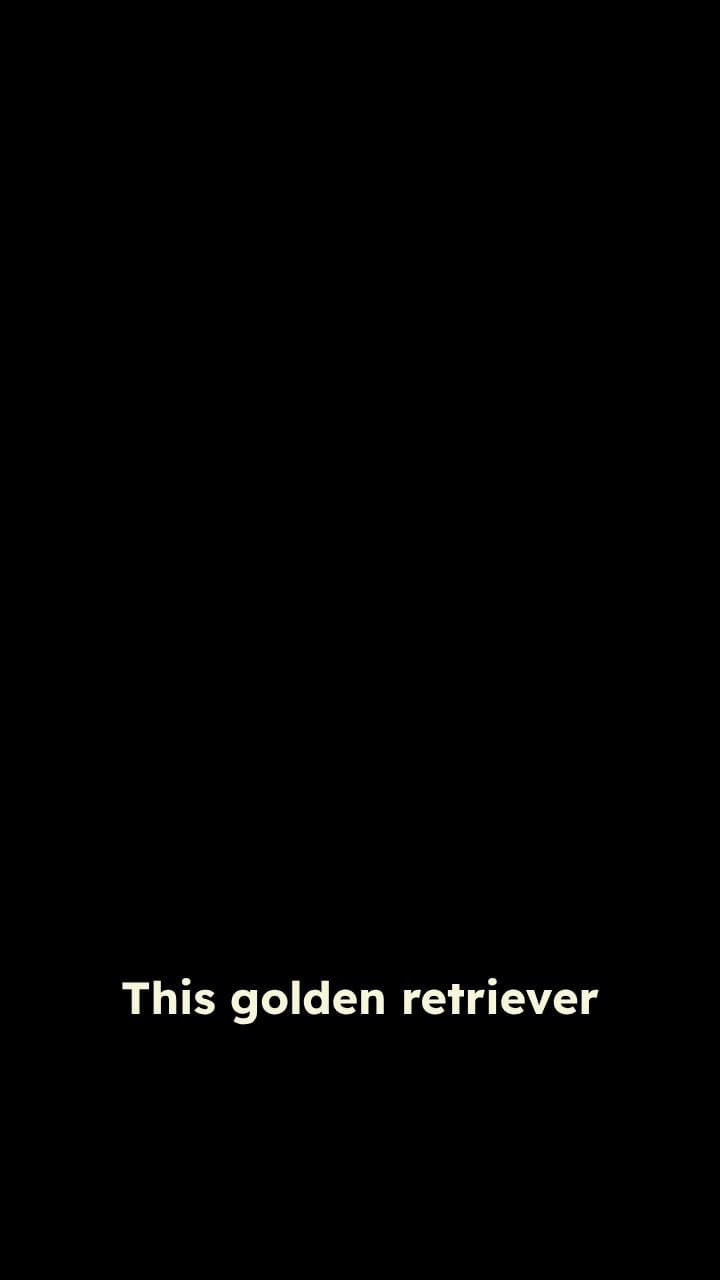 Puppy Works Station to Feed Sister