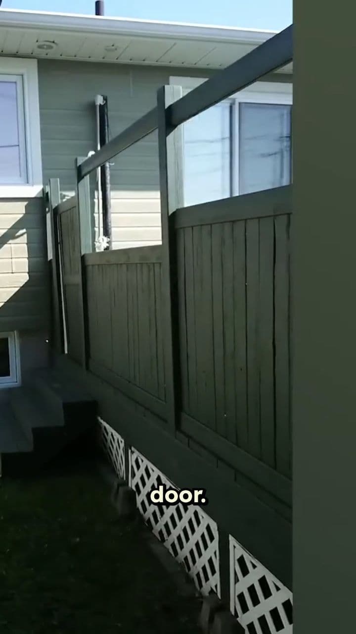 Daisy's Peanut Butter Choice