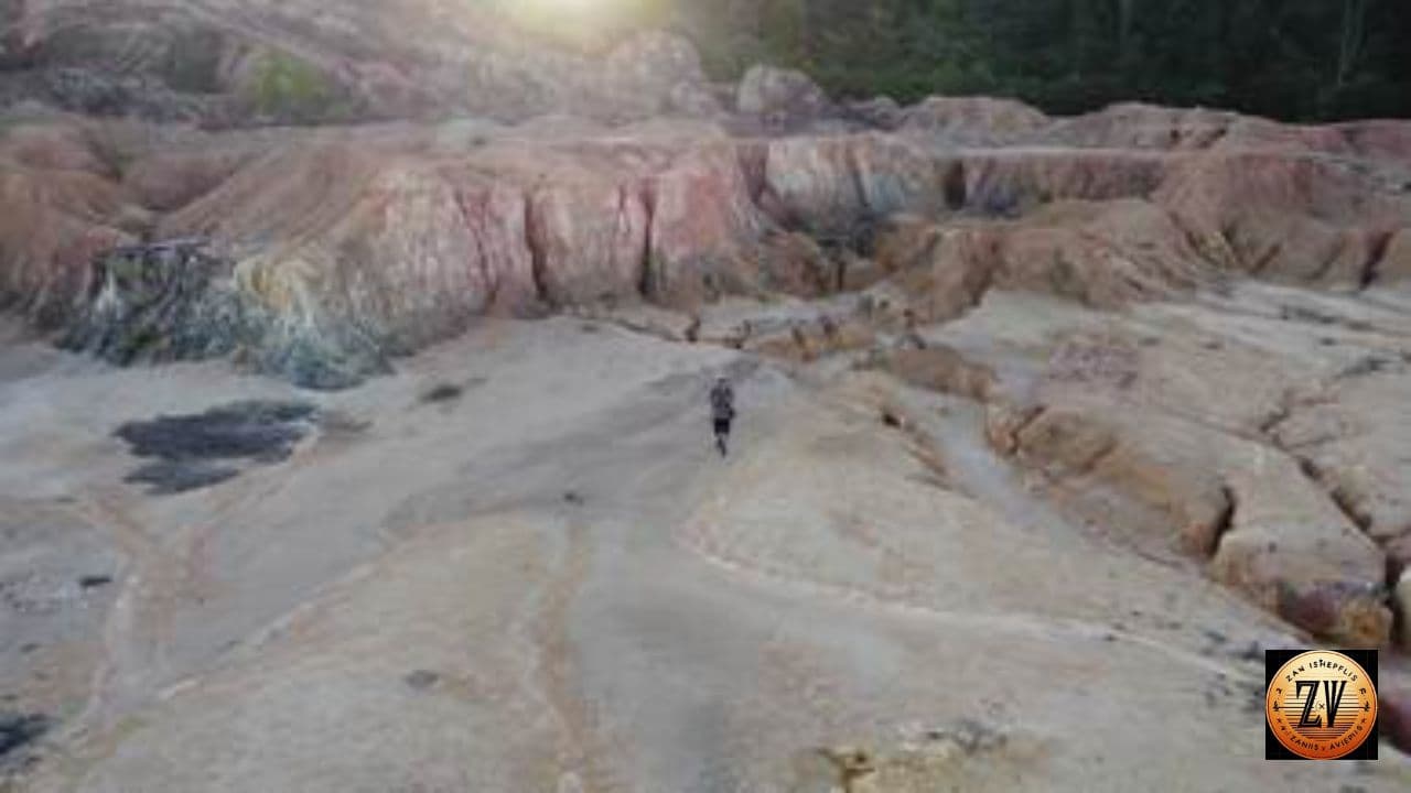 Silent Blame and Heavy Blooms