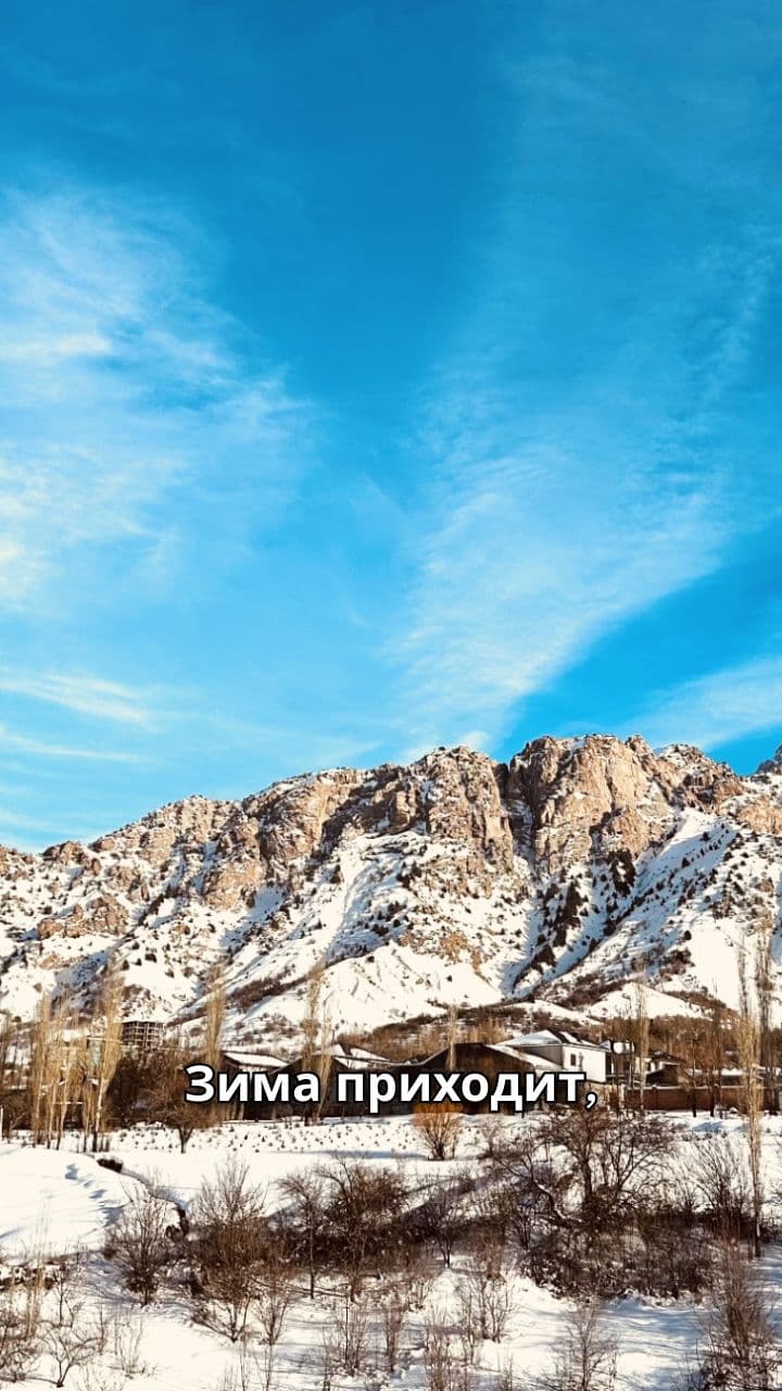 Смена Сезонов: От Зимы до Осени