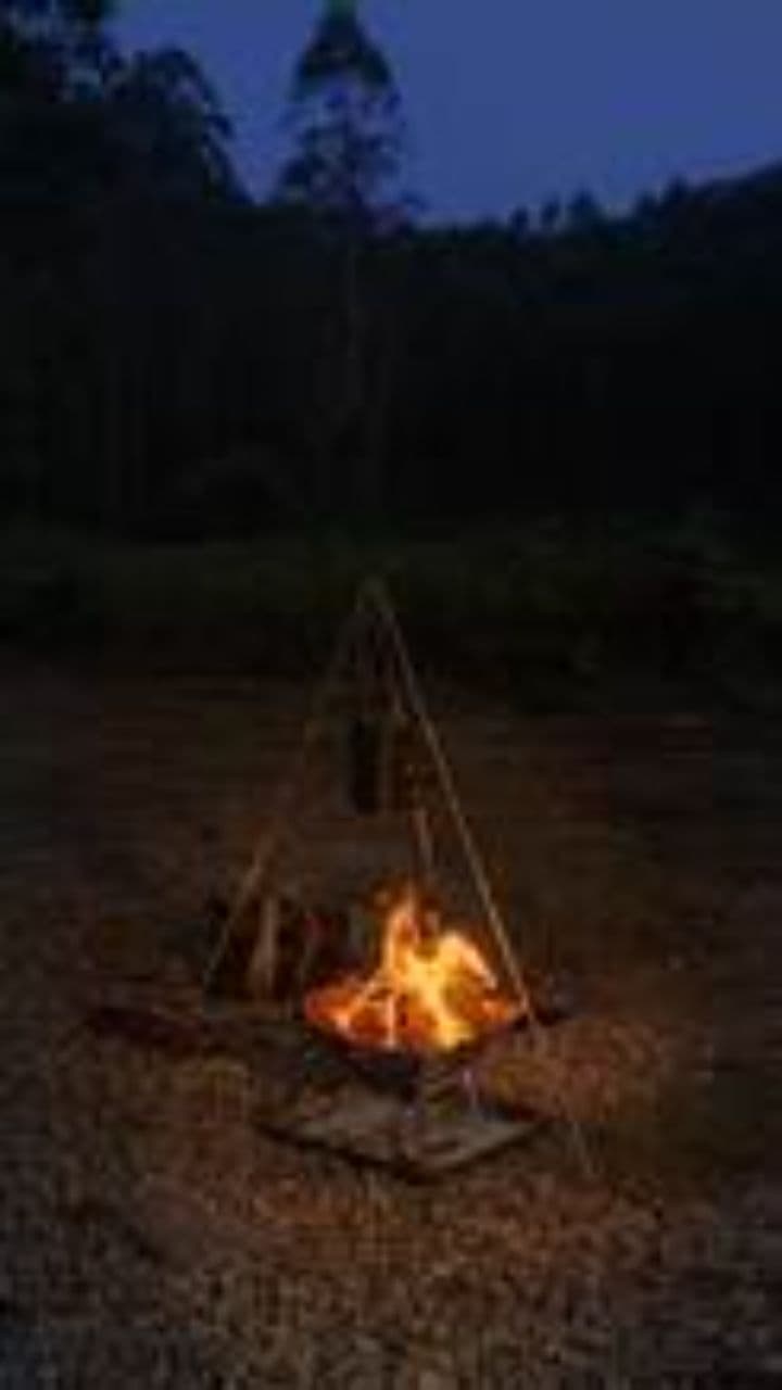 Светлячок и путь к свету