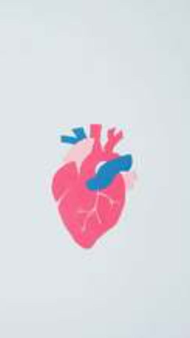 Orzeł Bielik i Wierność Przodkom