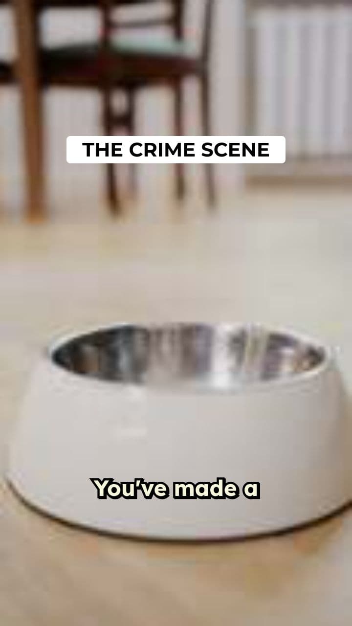 The Cat's Cleaning Duty