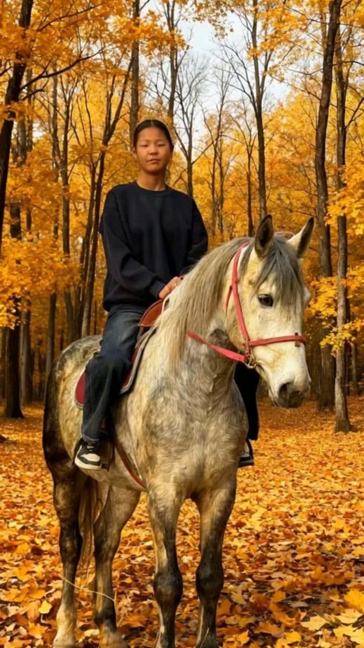 Image transform video