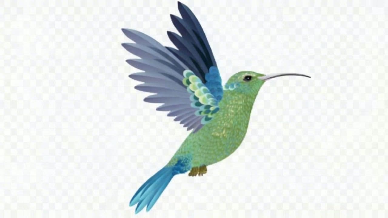 Image transform video