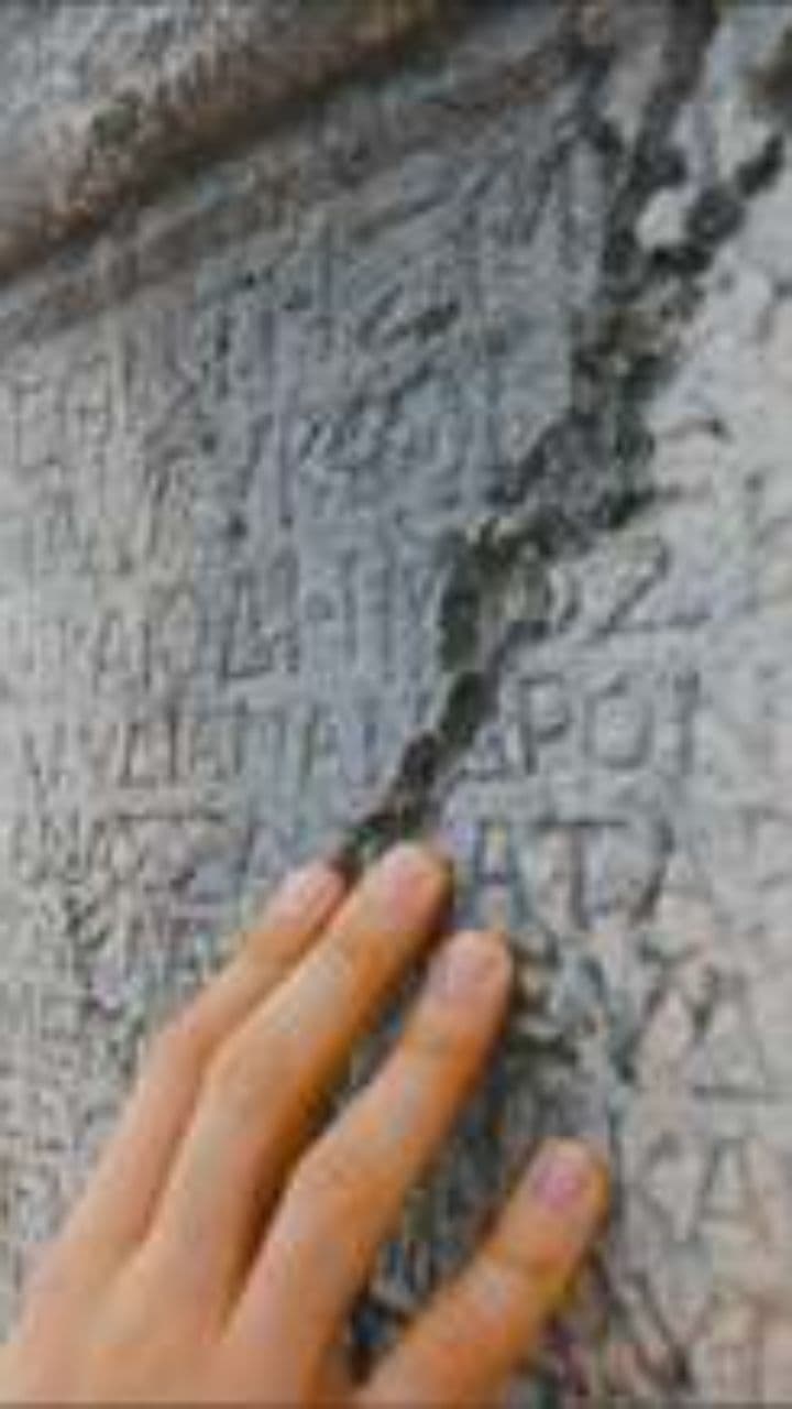 Whispers of the Foil Hat