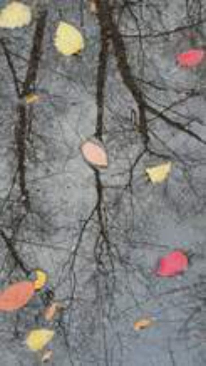 Feuille perdue dans l'automne