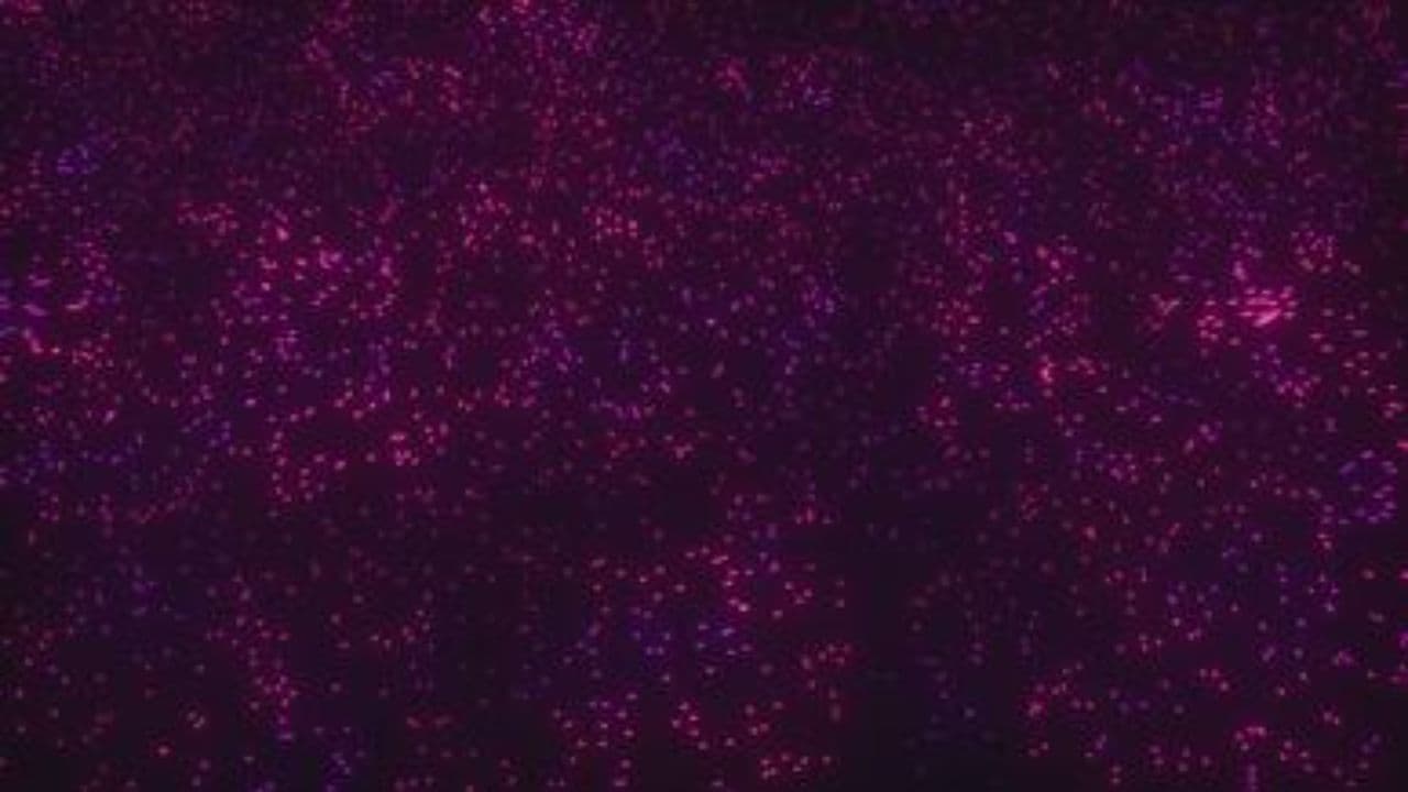 Иллюзии и реальность жизни