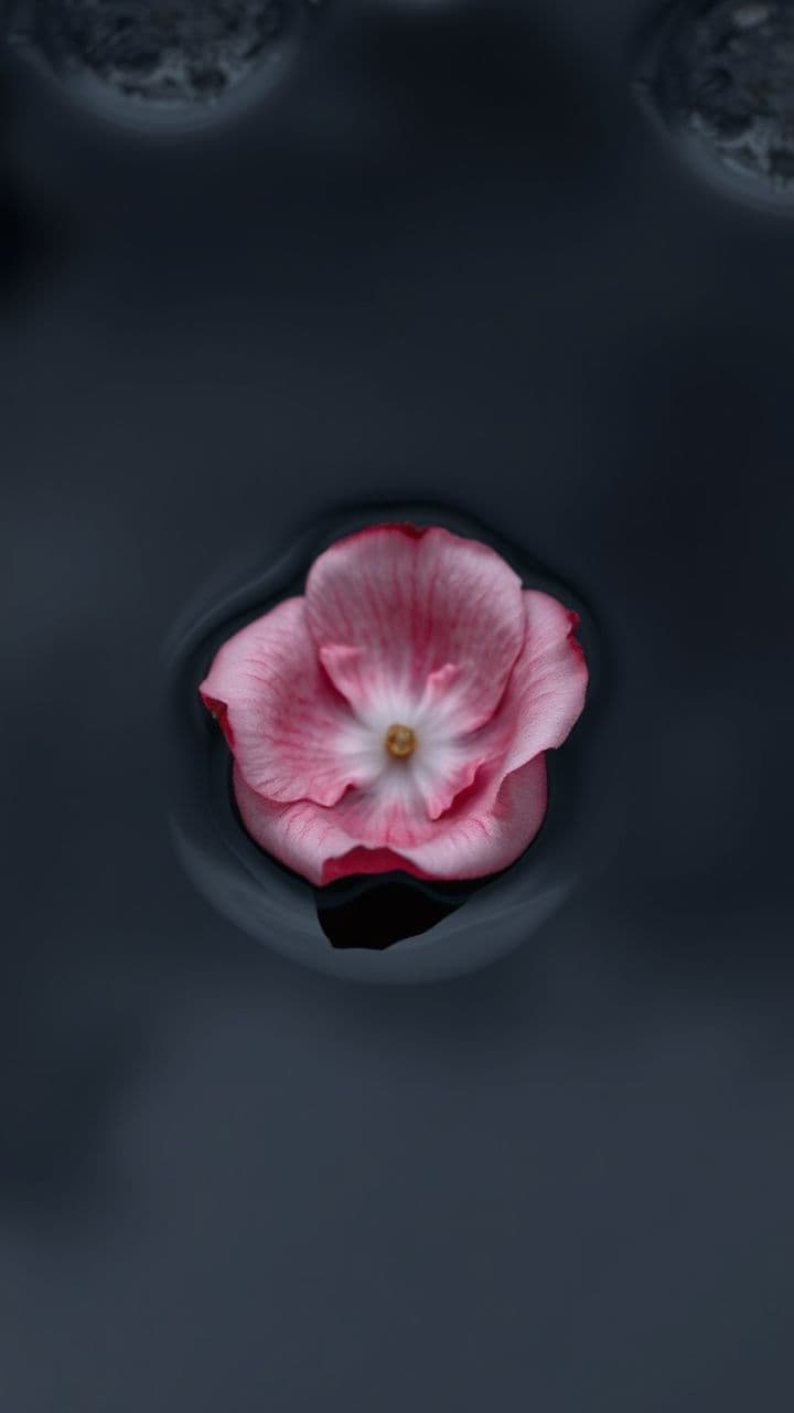 ਮਿਛੜੇ ਸੱਜਣ ਦੀ ਯਾਦ