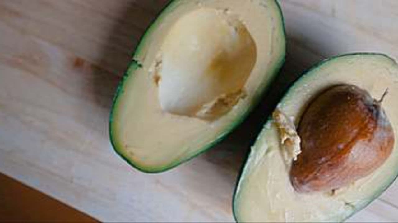 Persea Americana: Un Continente Verde