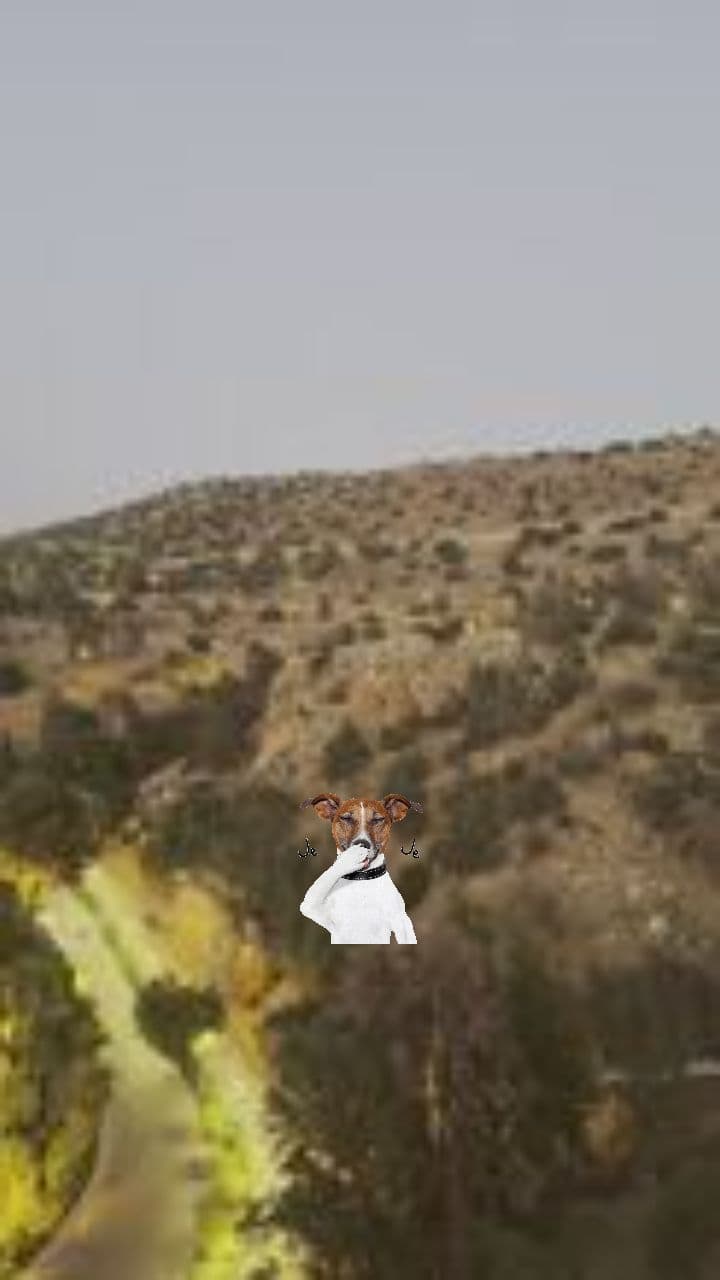 Hidden Gold of Ketama