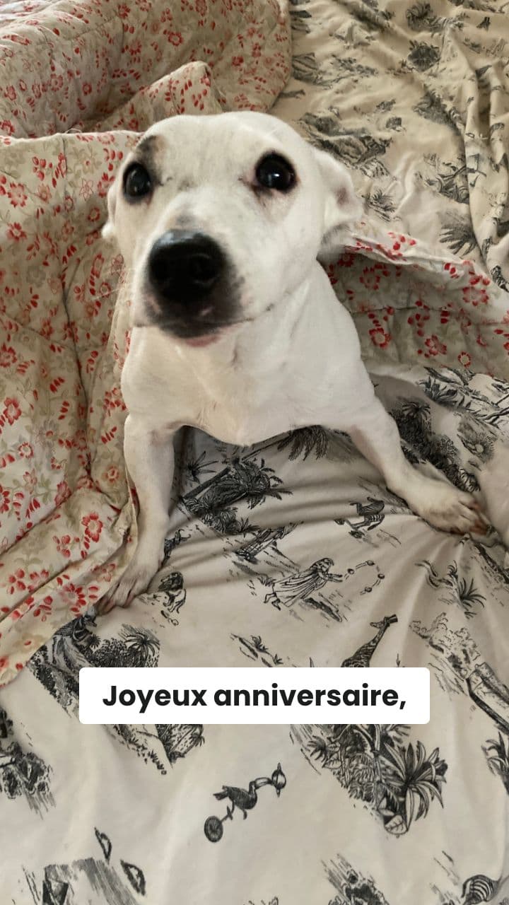 Joyeux Anniversaire Joseph, de la part de Mardi