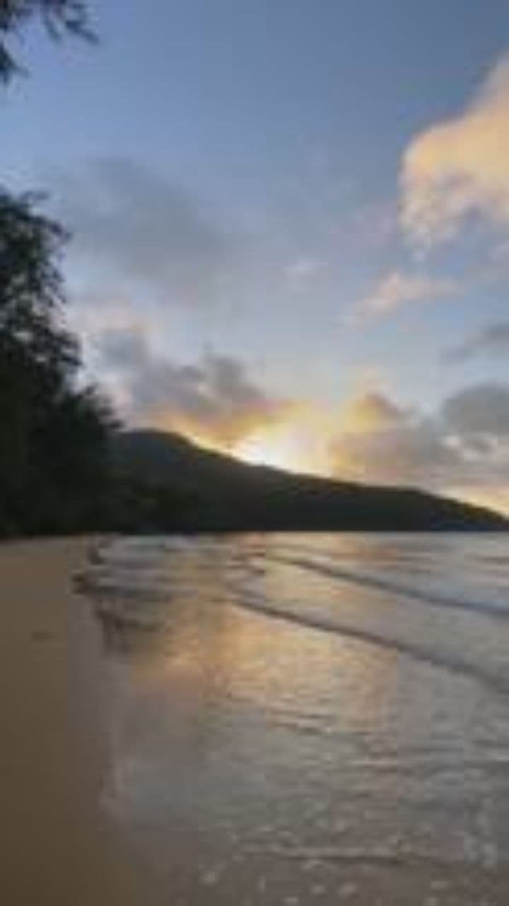 نموت على بلادي ووالدي