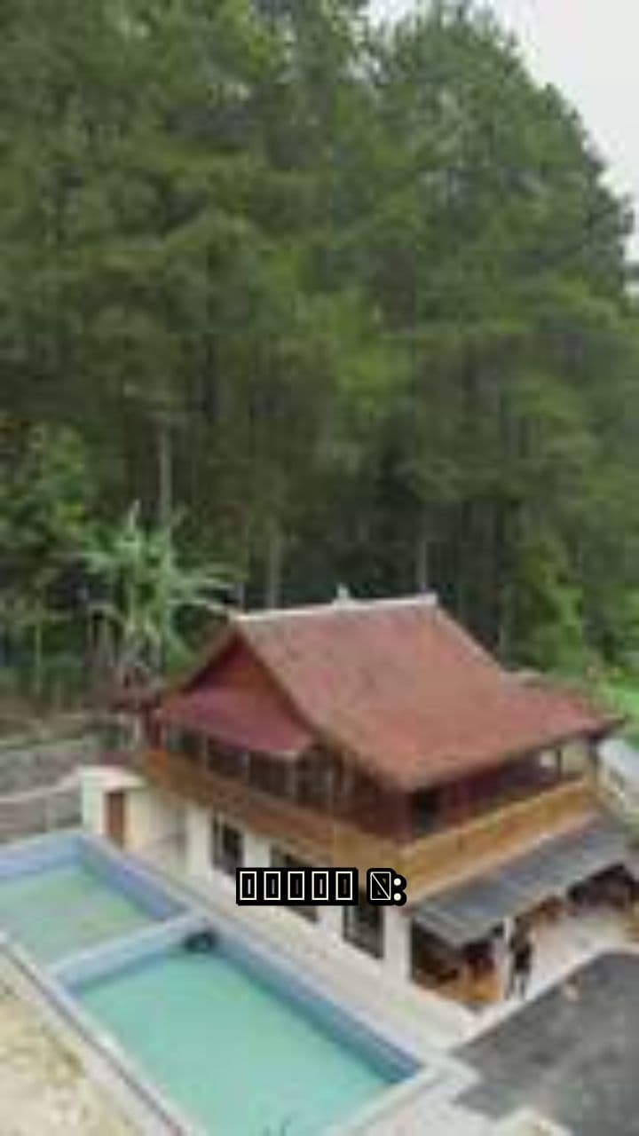 বন্ধুত্বের অদ্ভুত গল্প