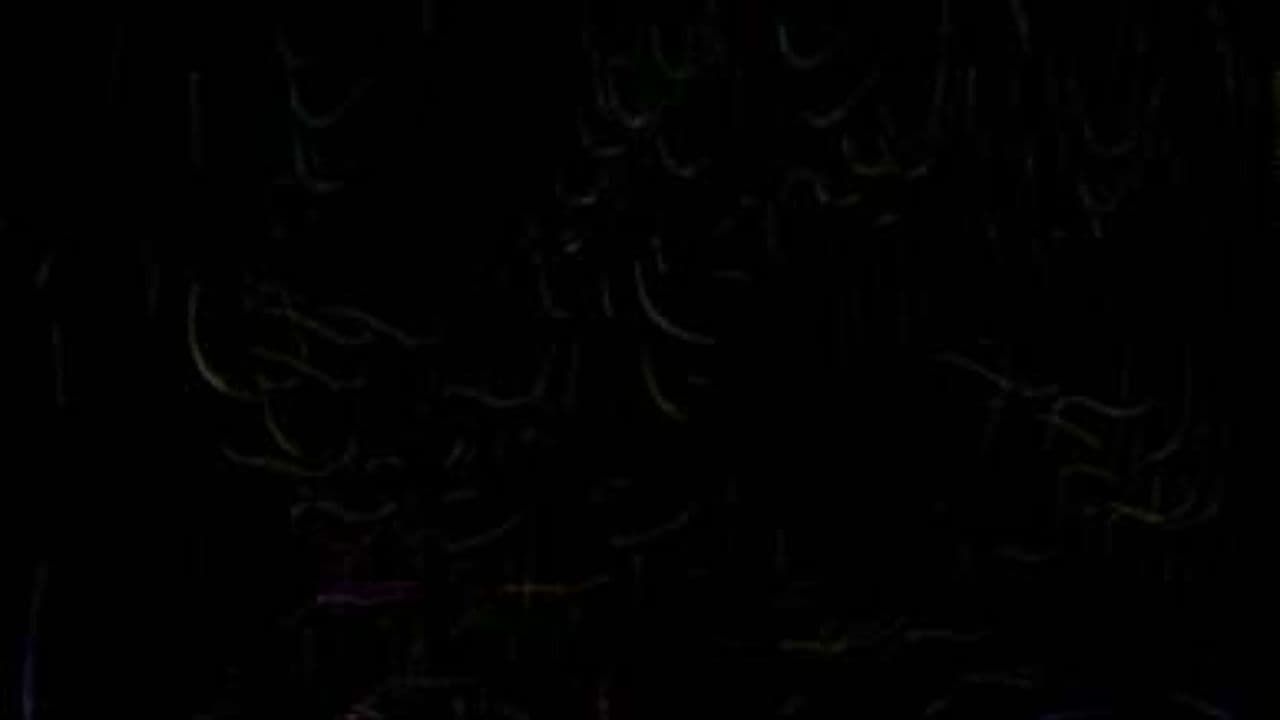 Euphoric Journey in EDM