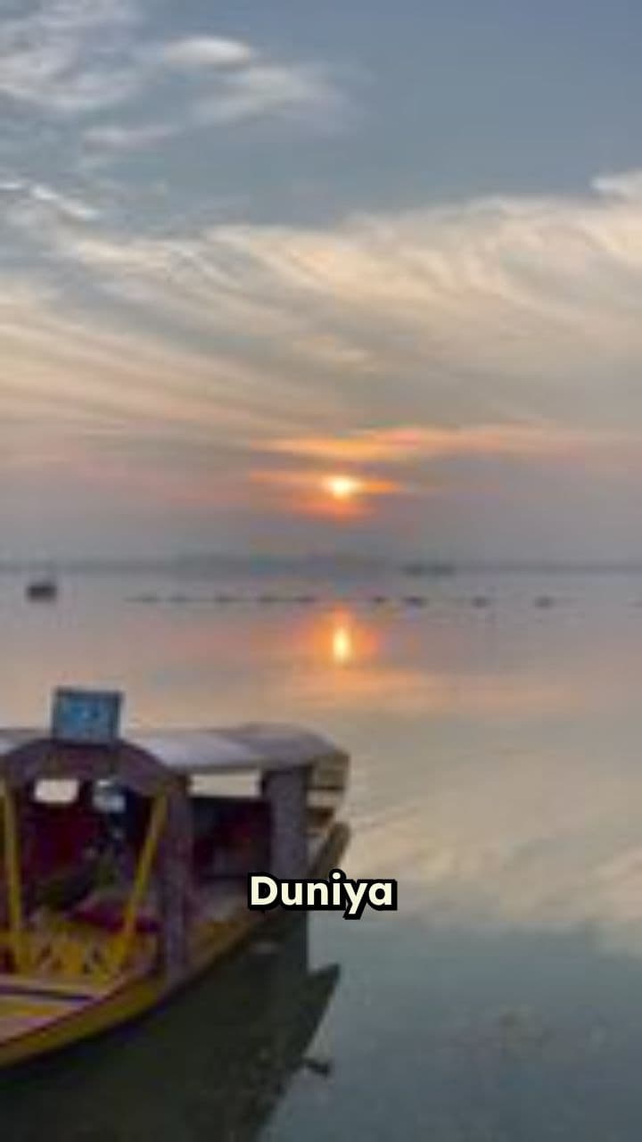 Kashmir Ki Aawaaz: RISE Karein