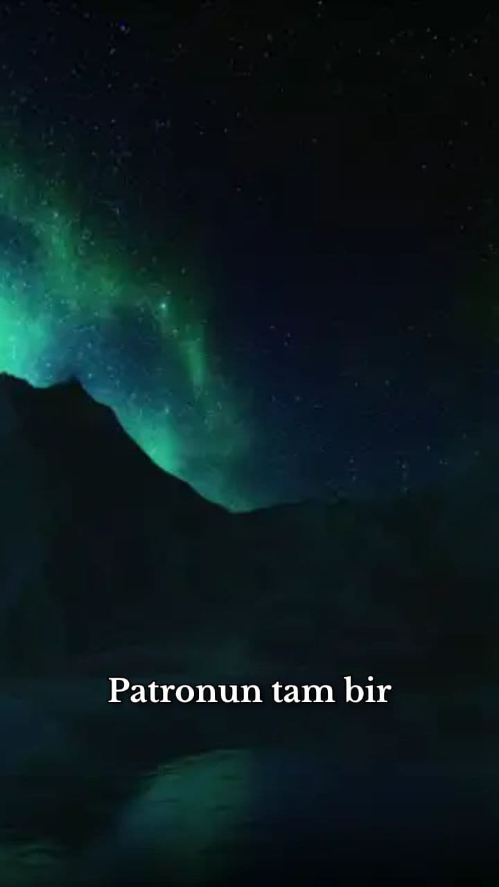 Patron Tipleri: Hayvan Analojisi