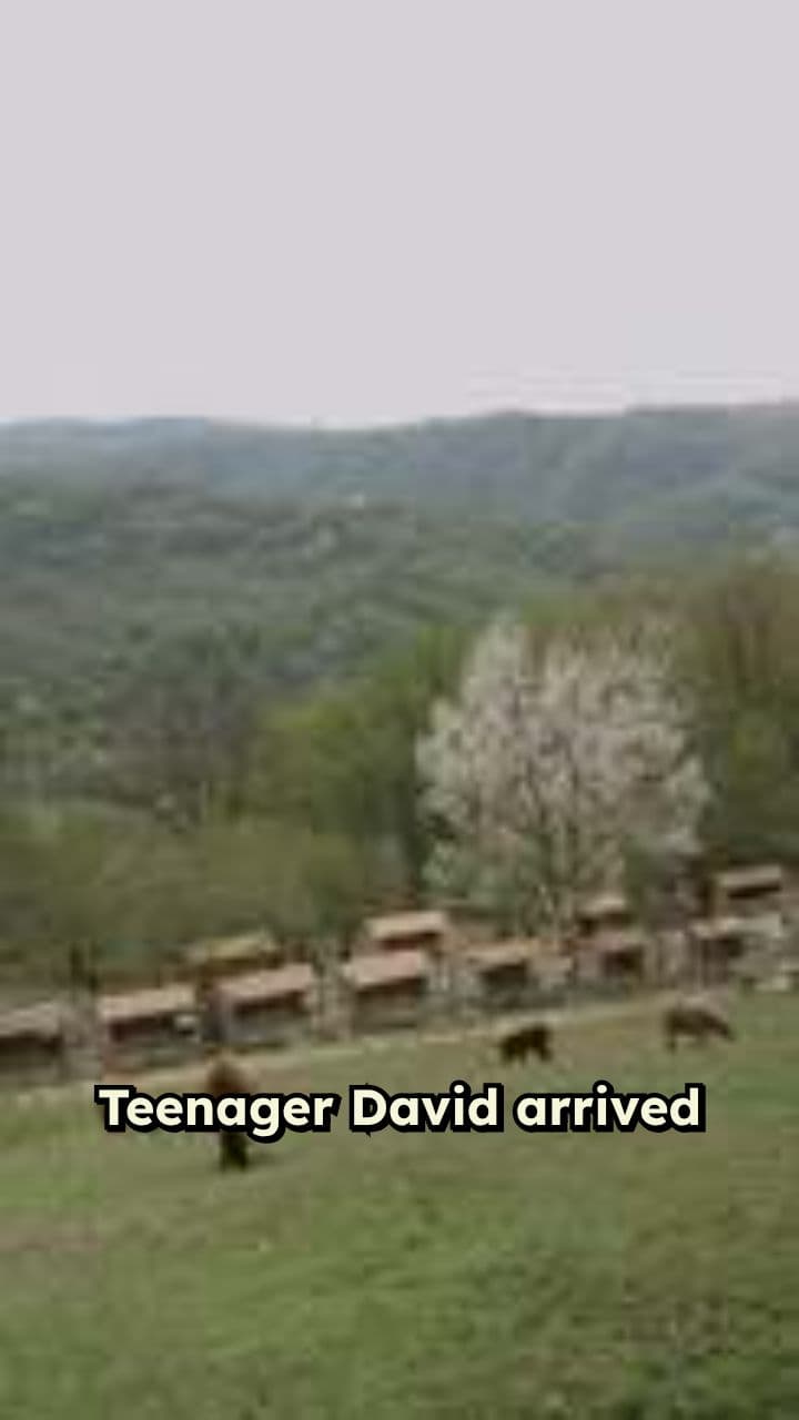 The Courage of David