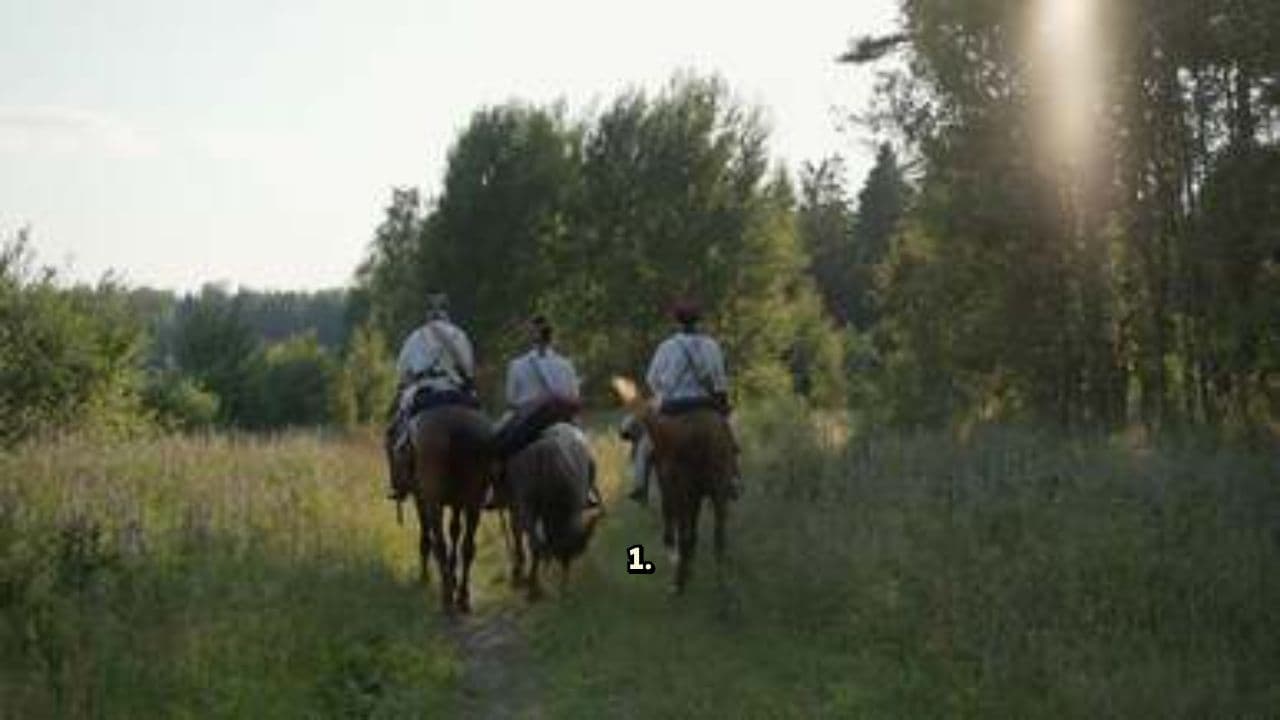 अशोक का सैन्य और प्रशासनिक प्रशिक्षण