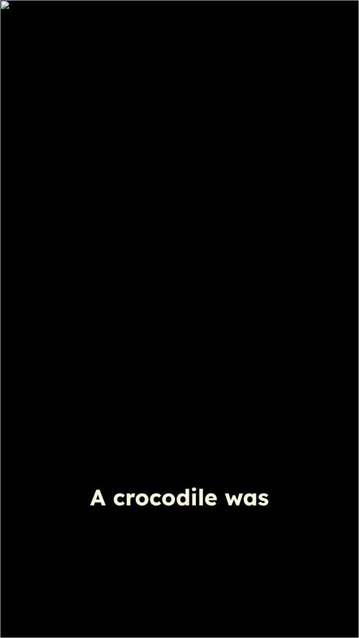 Crocodile's Persistence Pays Off