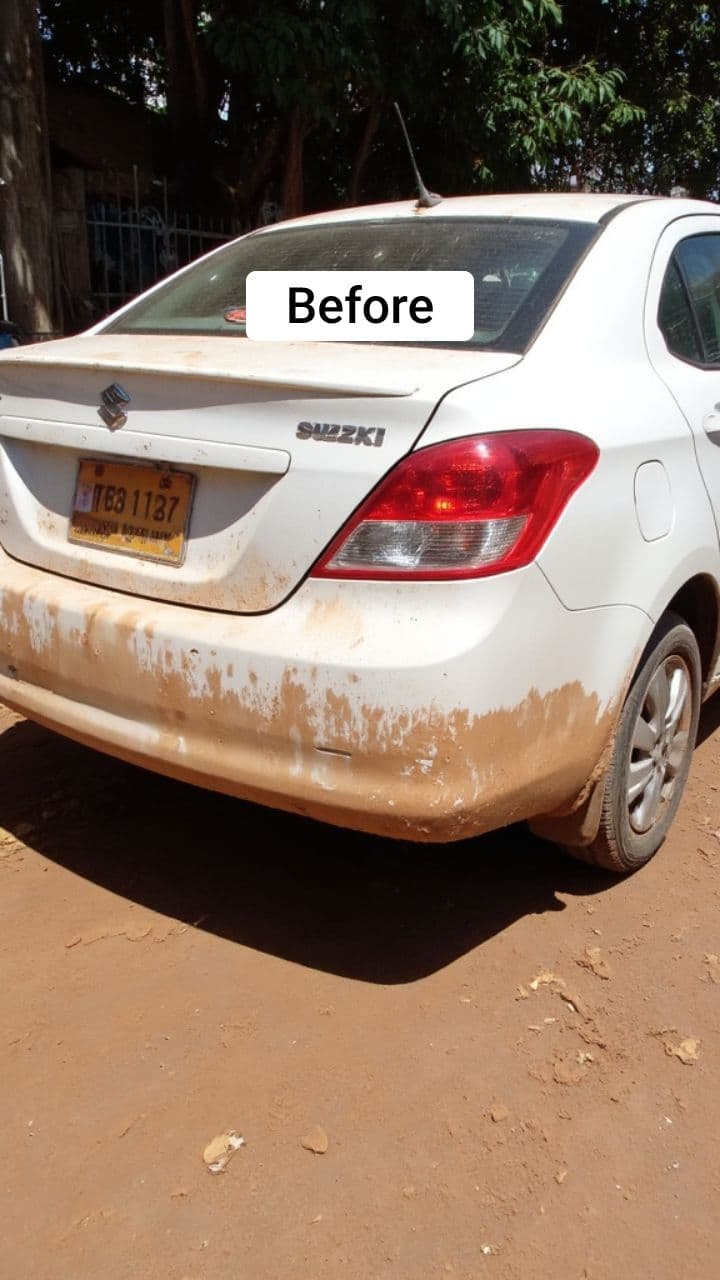 Satisfying Indian Car Wash ASMR
