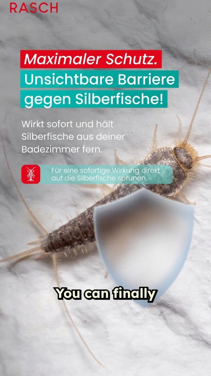 Effective Insect Spray for a Clean Home