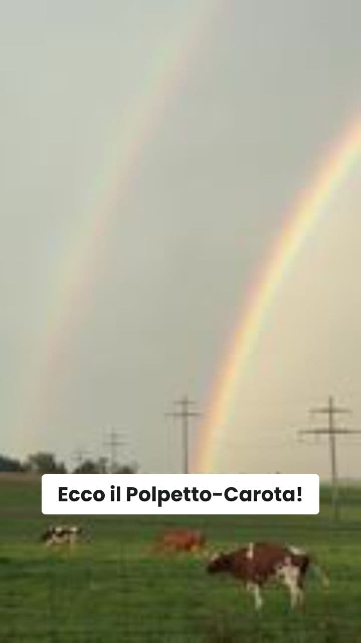 Polpetto-Carota: Il Caos Italiano!