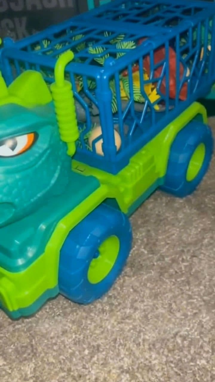 Image transform video