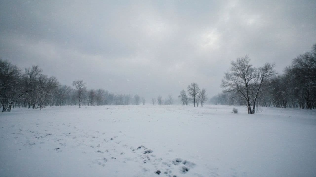 Ямщик, не гони лошадей