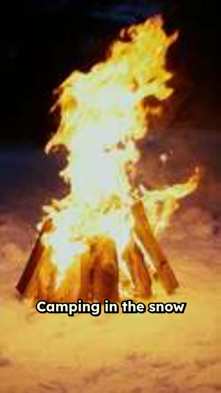 Snowy Clam Hunting Adventure in Alaska