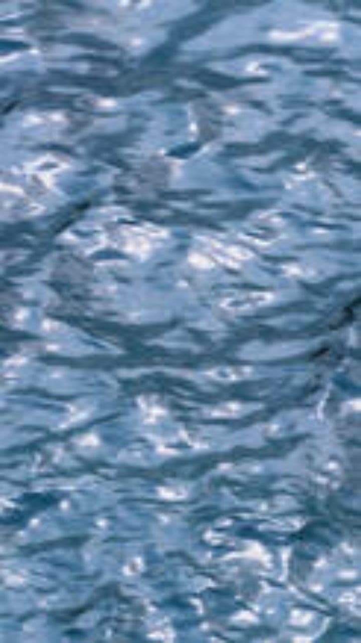 社群規範與回饋協議