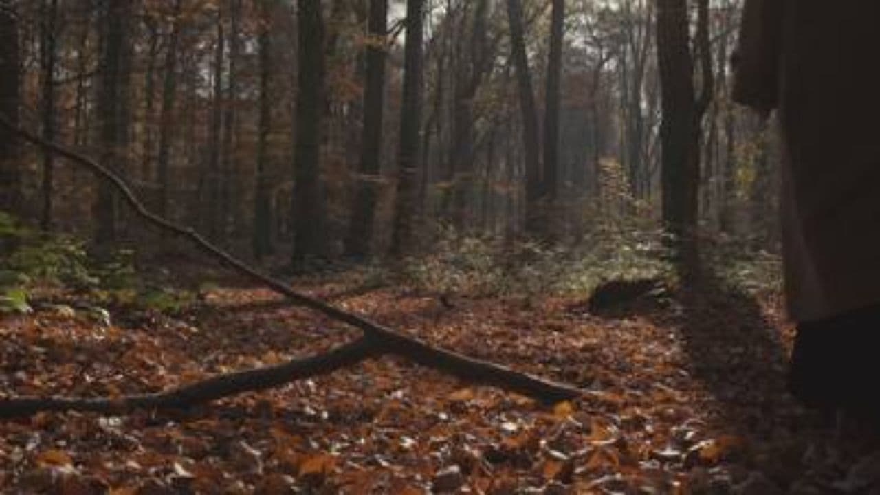 Cuidado y amor en el baile