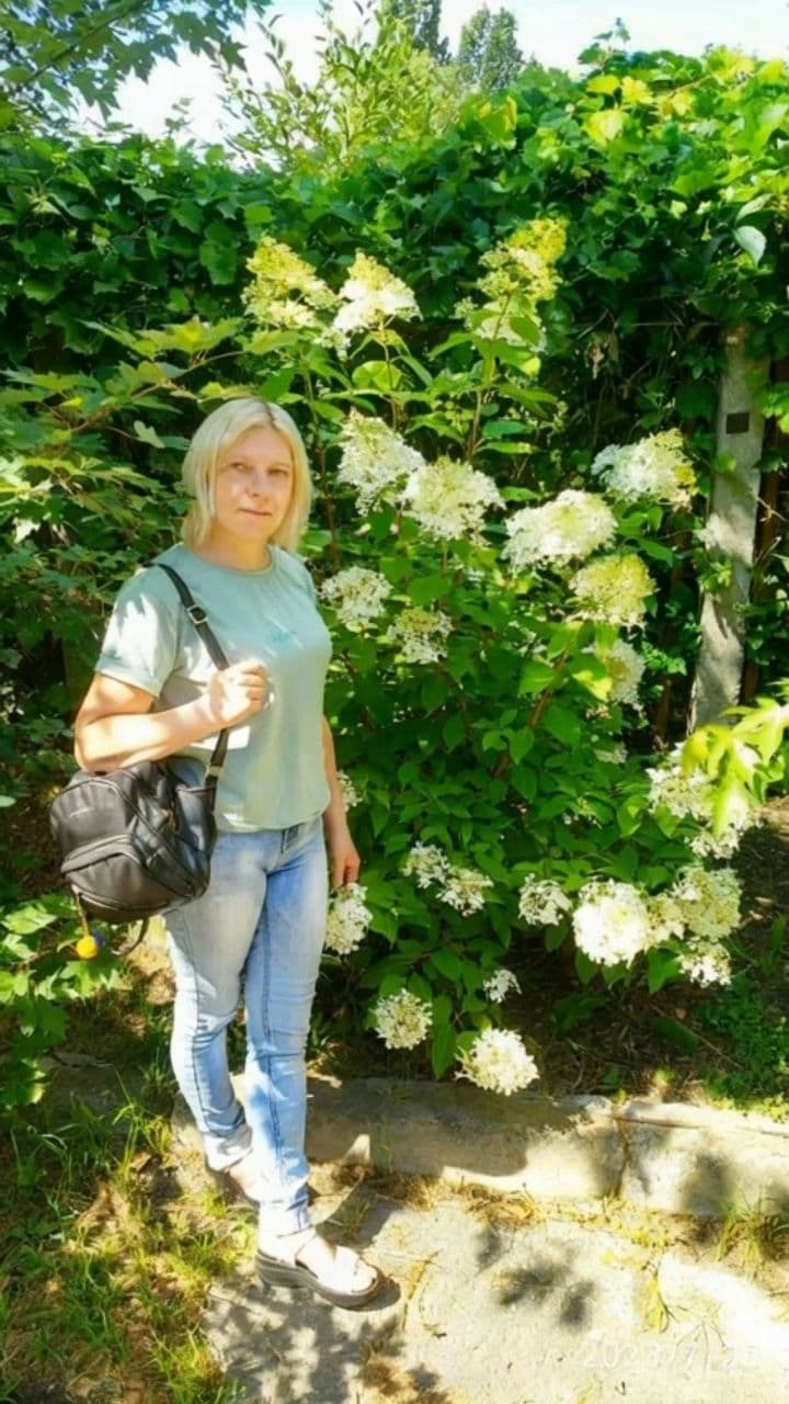 Image transform video