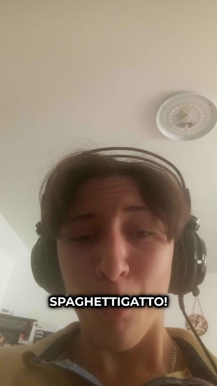 Spaghettigatto: Il Caos Pasta