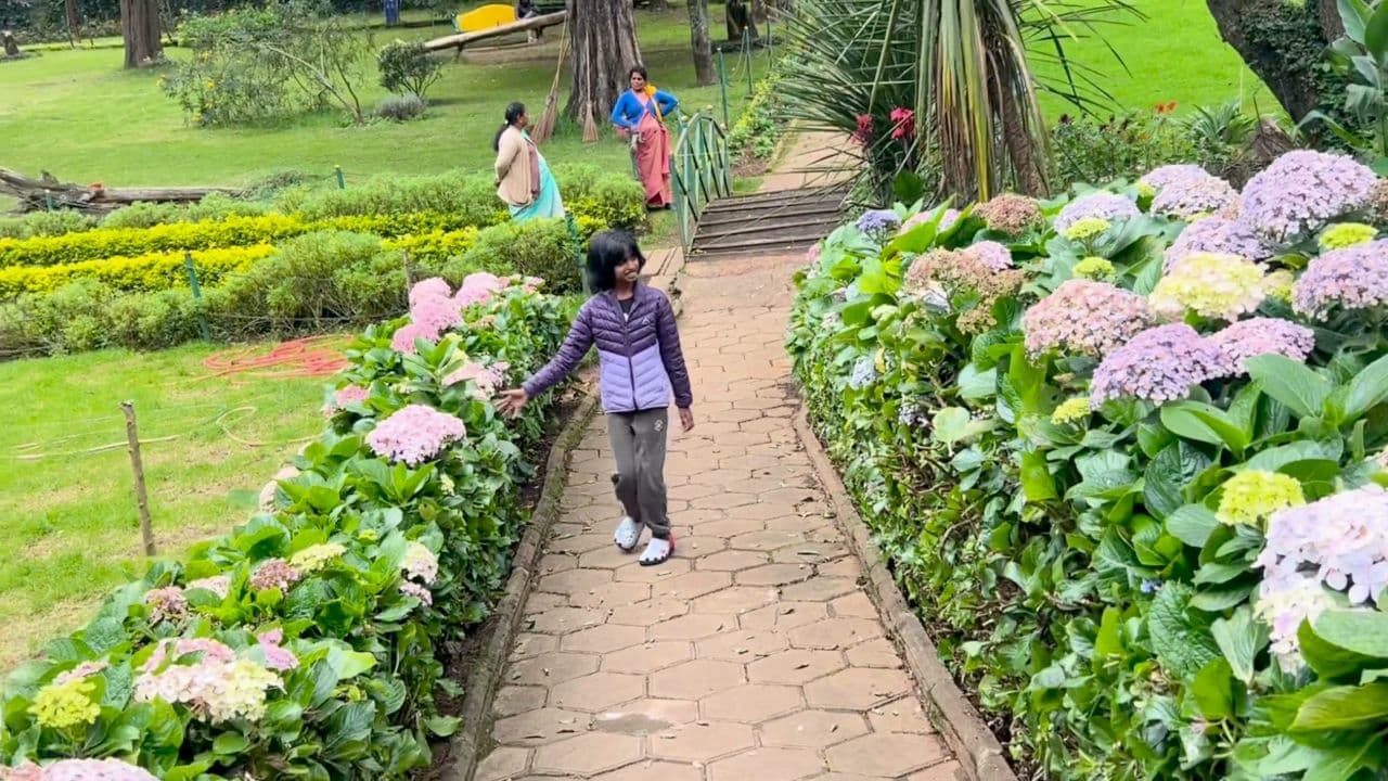 Exploring Ooty's Rose Garden