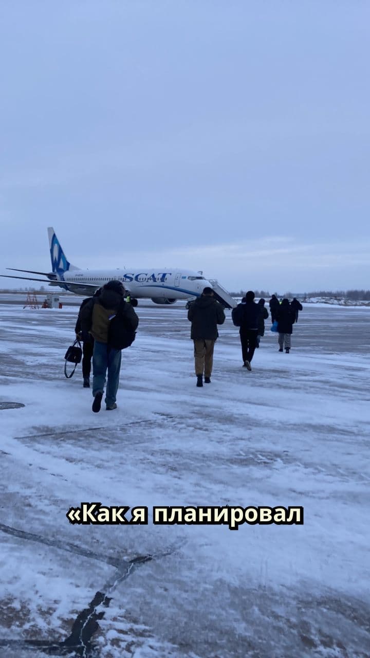 Лучшие новогодние каникулы: ел и спал