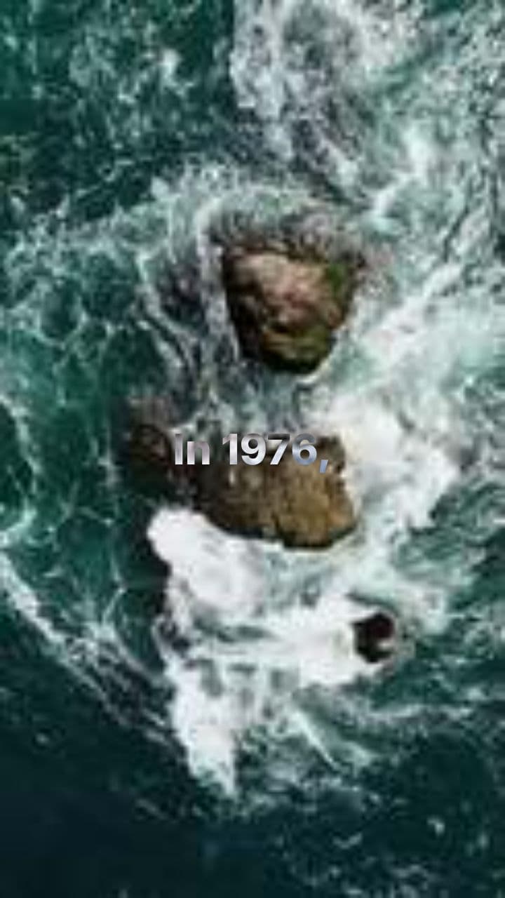 The Fire Within Niki Lauda