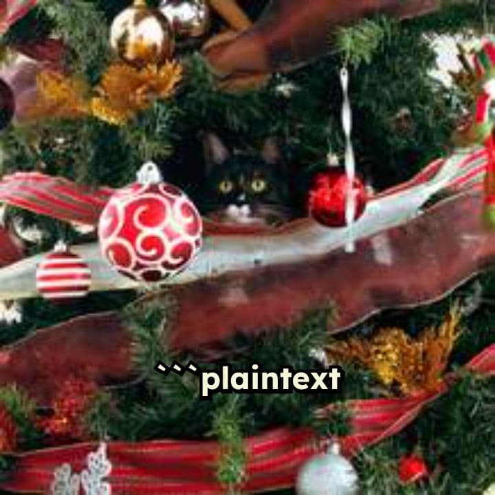 Biblical Christmas Trivia Challenge