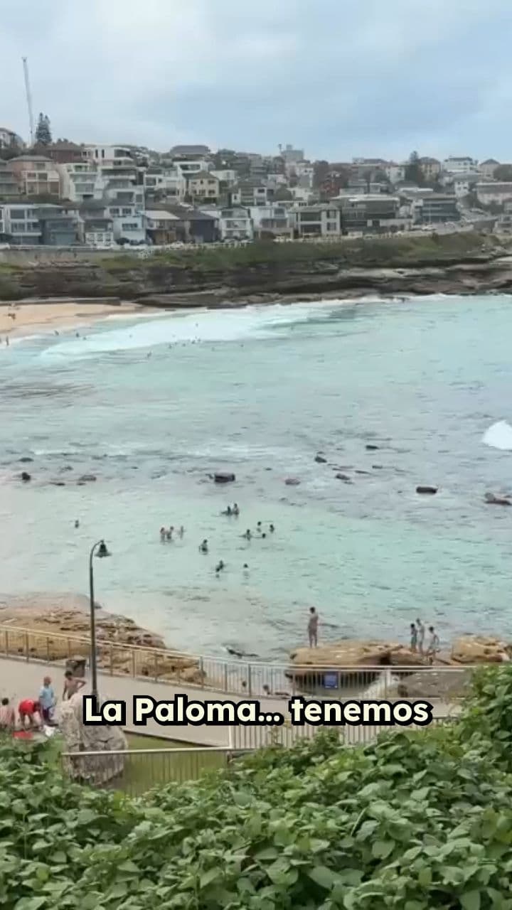 La Noche Inolvidable en La Paloma