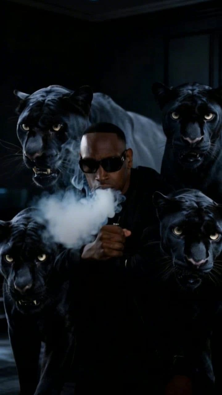 Image transform video